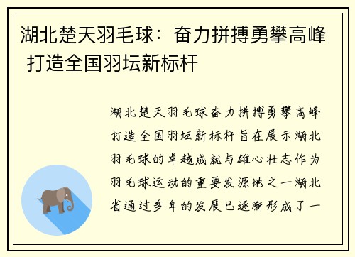 湖北楚天羽毛球：奋力拼搏勇攀高峰 打造全国羽坛新标杆